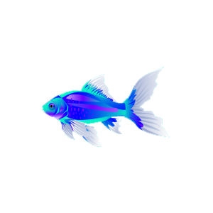 Yale Comet Goldfish